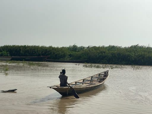 Person paddling a wooden boat on a calm river, surrounded by greenery under a clear sky.